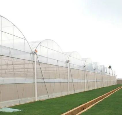 Seedling Cultivation Juxiang Hydroponic Farm Film Greenhouse with Customized Request