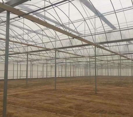 Seedling Cultivation Juxiang Hydroponic Farm Film Greenhouse with Customized Request