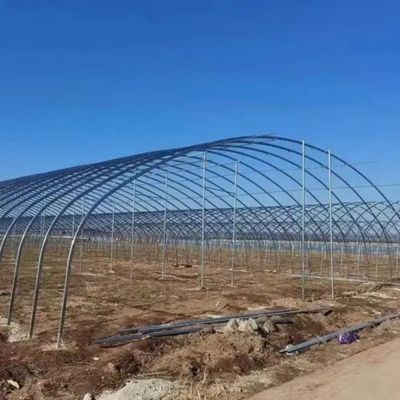 Hot-DIP Galvanized Steel Pipe Agricultural Film Hydropoinics Greenhouses Building Material