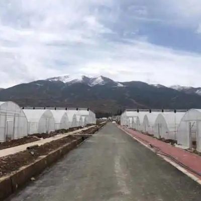 Hot-DIP Galvanized Steel Pipe Agricultural Film Hydropoinics Greenhouses Building Material