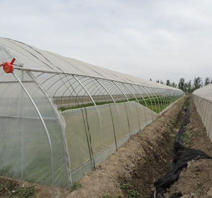 Anti-Drip Fogging Film Greenhouse for Flowers Temporary Heating Method Included