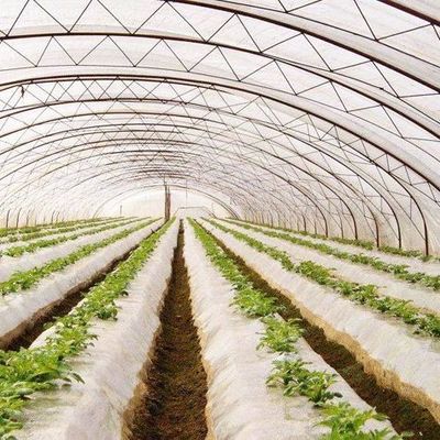 Customizable Hydroponic System for Vegetables and Flowers Tailored to Meet Your Needs