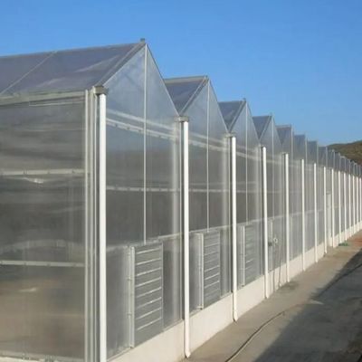 Customizable Hydroponic System for Vegetables and Flowers Tailored to Meet Your Needs