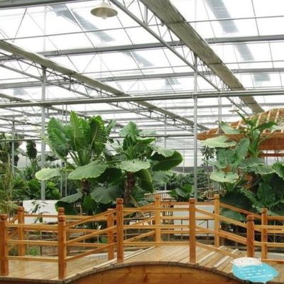 Juxiang Sheet PC Board Green House for Hydroponic Growing Systems Strawberry Customized