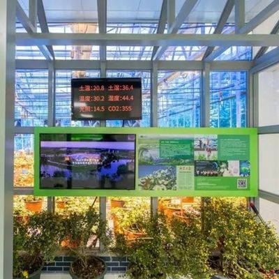 Juxiang Sheet PC Board Green House for Hydroponic Growing Systems Strawberry Customized