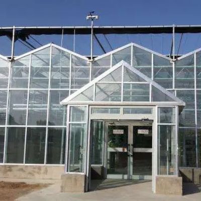 Juxiang Sheet PC Board Green House for Hydroponic Growing Systems Strawberry Customized