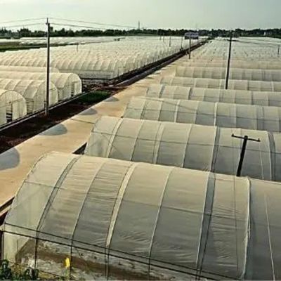 Juxiang Sheet PC Board Green House for Hydroponic Growing Systems Strawberry Customized