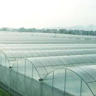 Juxiang Multi-Span Humidity Control Greenhouse for Peppers Film Greenhouse Department