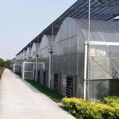 Multi-Span Juxiang Hydroponic System Humidity Greenhouse for Flowers Return refunds