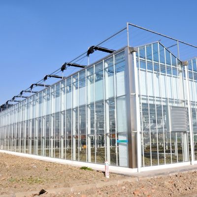 Hot Water Heating Multi-Span Seedling Glass Greenhouse for Hydroponics Stromal Control