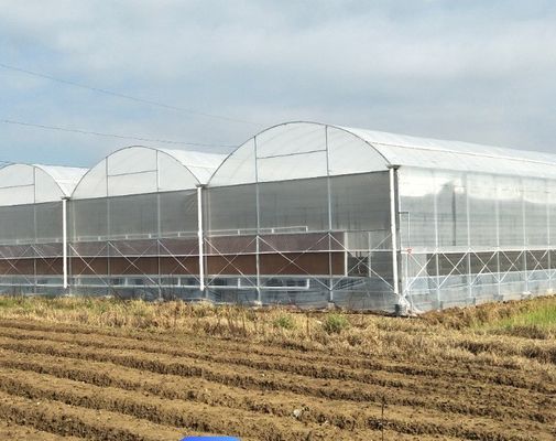 Double-Film Hydroponic System for Cucumber Package Size 12.09cm * 2.35cm * 2.39cm