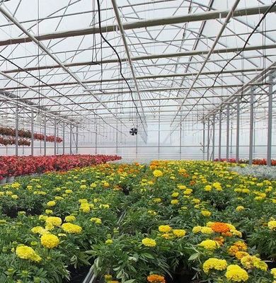 Double-Film Hydroponic System for Cucumber Package Size 12.09cm * 2.35cm * 2.39cm