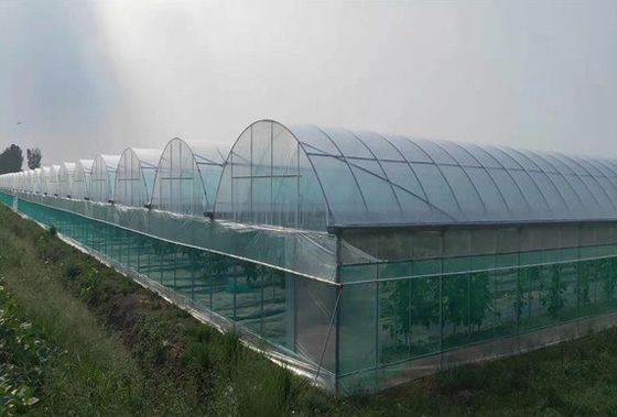Double-Film Hydroponic System for Cucumber Package Size 12.09cm * 2.35cm * 2.39cm