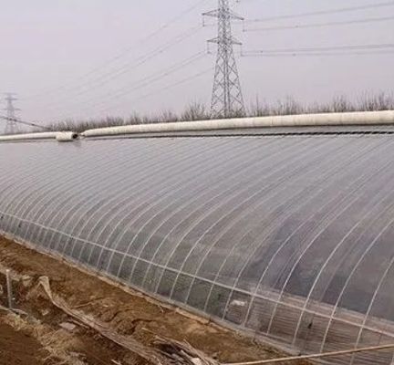 Double-Film Hydroponic System for Cucumber Package Size 12.09cm * 2.35cm * 2.39cm