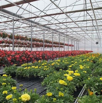 Double-Film Hydroponic System for Cucumber Package Size 12.09cm * 2.35cm * 2.39cm