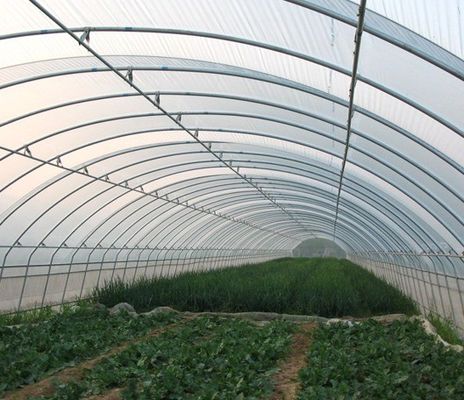 Double-Film Hydroponic System for Cucumber Package Size 12.09cm * 2.35cm * 2.39cm