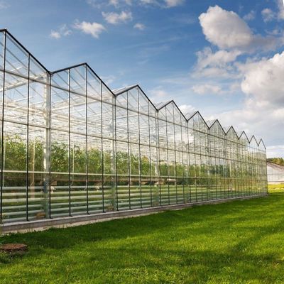 Venlo Hollow Double Layer Tempered Glass Greenhouse for Hydroponics Growing System