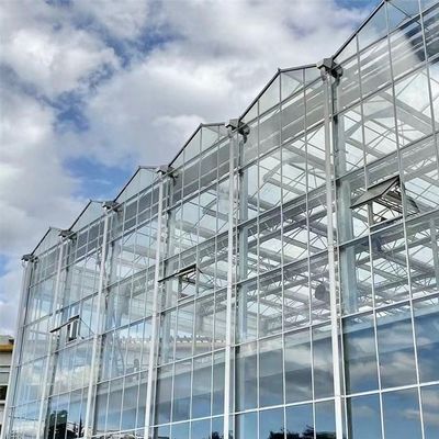 Venlo Hollow Double Layer Tempered Glass Greenhouse for Hydroponics Growing System