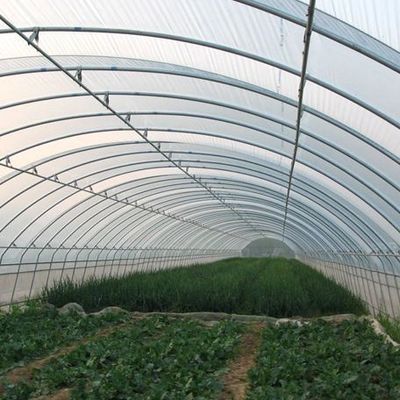 US Single-Arch Hydroponics Greenhouse for Pepper Production Package Gross Weight 2000.000kg