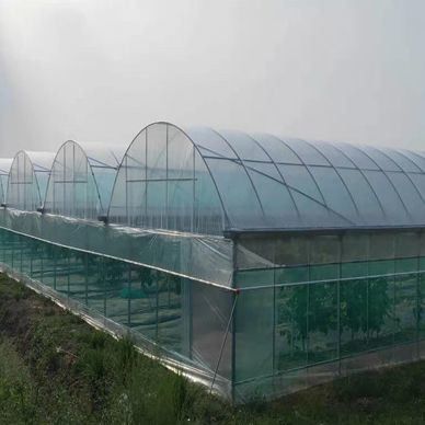 US Single-Arch Hydroponics Greenhouse for Pepper Production Package Gross Weight 2000.000kg