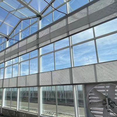 Venlo-Style Roof Multi-Span Controlled Humidity Glasshouse for Hydroponic Seedlings