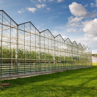 Venlo-Style Roof Multi-Span Controlled Humidity Glasshouse for Hydroponic Seedlings