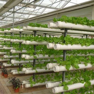 Venlo-Style Roof Multi-Span Controlled Humidity Glasshouse for Hydroponic Seedlings