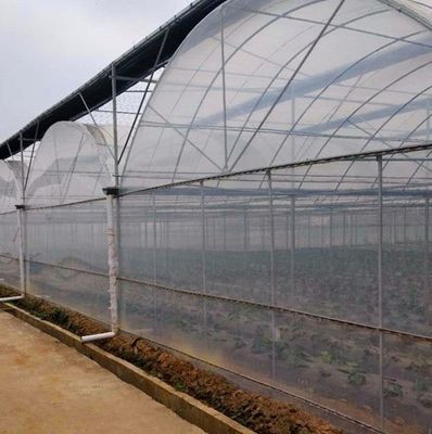1209.00cm * 235.00cm * 239.00cm Customizable Film Greenhouse for Vegetable Farming