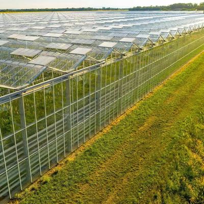 Origin Vegetable and Flower Glass Greenhouse with Hydroponics Cultivation Method