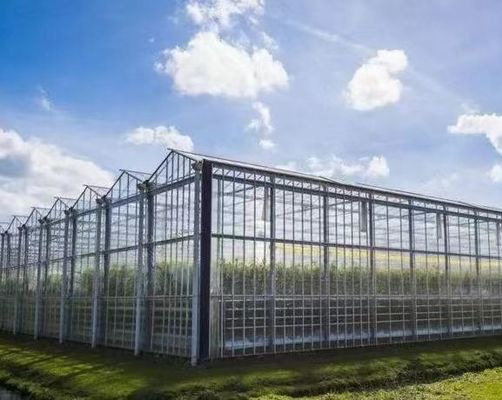 Origin Vegetable and Flower Glass Greenhouse with Hydroponics Cultivation Method