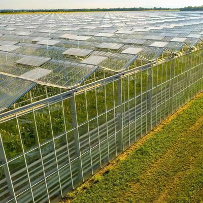 Eco-Friendly Multi Span Glass Greenhouse Customization and Estimated Delivery Time