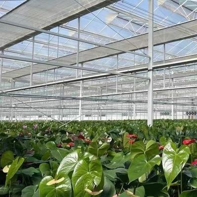 Eco-Friendly Multi Span Glass Greenhouse Customization and Estimated Delivery Time