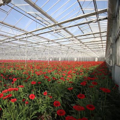Eco-Friendly Multi Span Glass Greenhouse Customization and Estimated Delivery Time