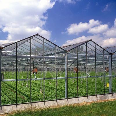 Eco-Friendly Multi Span Glass Greenhouse Customization and Estimated Delivery Time