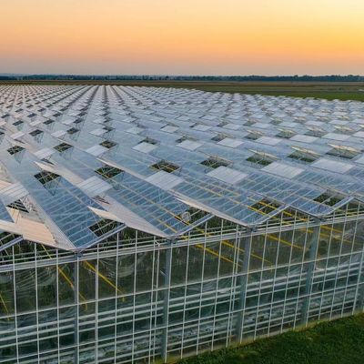Eco-Friendly Multi Span Glass Greenhouse Customization and Estimated Delivery Time