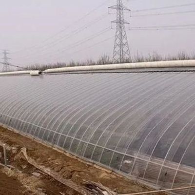 1209cm * 235cm * 239cm Package Size Greenhouse for Tomato and Cucumber Farm Full Payment
