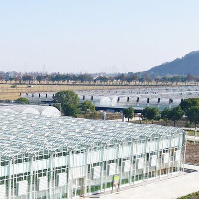 Multi-Function Glass Greenhouse for Customized Aquaponics Vegetable Farming Solutions