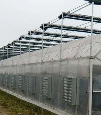 Initial Payment Large Pepper and Flower Hydroponic with Film Greenhouse Full Payment