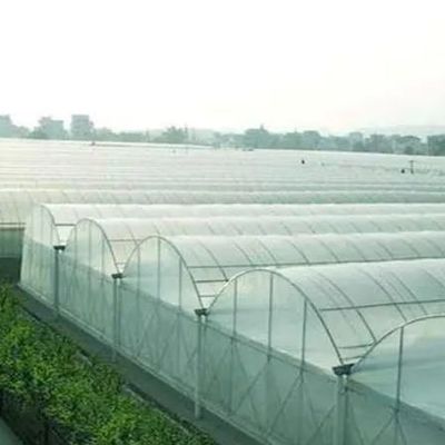 Customization Option Juxiang Hydroponic System Vegetable Cultivation Film Greenhouse