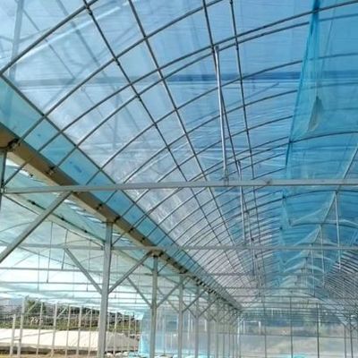 Single-Arch Greenhouse for Flower Farming Boost Your Flower Production