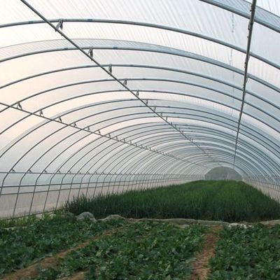Customizable Double-Film Hydroponic System for Pepper Production Multi-Span Design