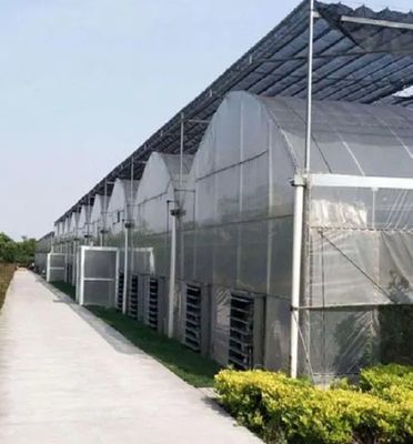 Customizable Double-Film Hydroponic System for Pepper Production Multi-Span Design