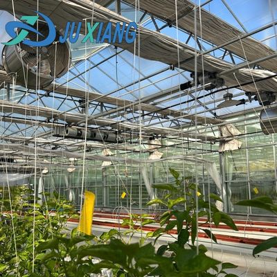 Affordable Commercial Greenhouse for Vegetables or Flowers Samples US 20/Square Meter