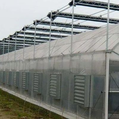 Temporary Heating Arched Roof Film Greenhouse for Tomato and Cucumber Farming