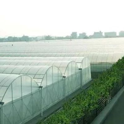 Double-Arch Pepper and Flower Hydroponic Greenhouse with Multi Span Roofing Shape