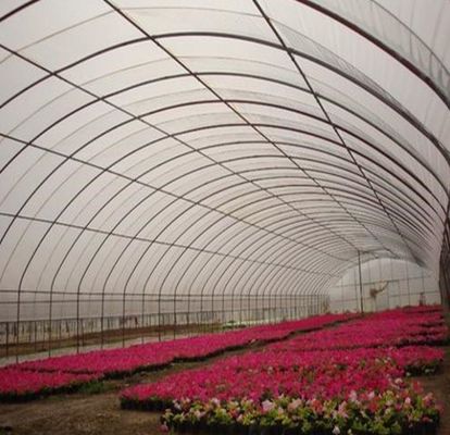 Double-Arch Pepper and Flower Hydroponic Greenhouse with Multi Span Roofing Shape