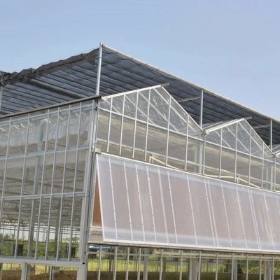 US Hot DIP Galvanized Steel Multi Span Glass Greenhouse 50.00cm * 60.00cm * 80.00cm