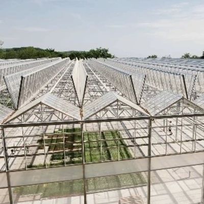 US Hot DIP Galvanized Steel Multi Span Glass Greenhouse 50.00cm * 60.00cm * 80.00cm