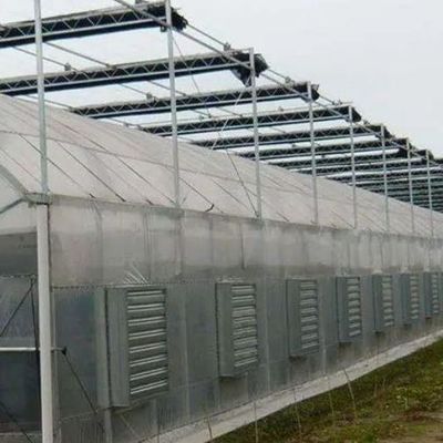 1209.00cm * 235.00cm * 239.00cm Film Cover Greenhouse for Tomato and Cucumber Growing