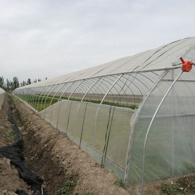 1209.00cm * 235.00cm * 239.00cm Film Cover Greenhouse for Tomato and Cucumber Growing
